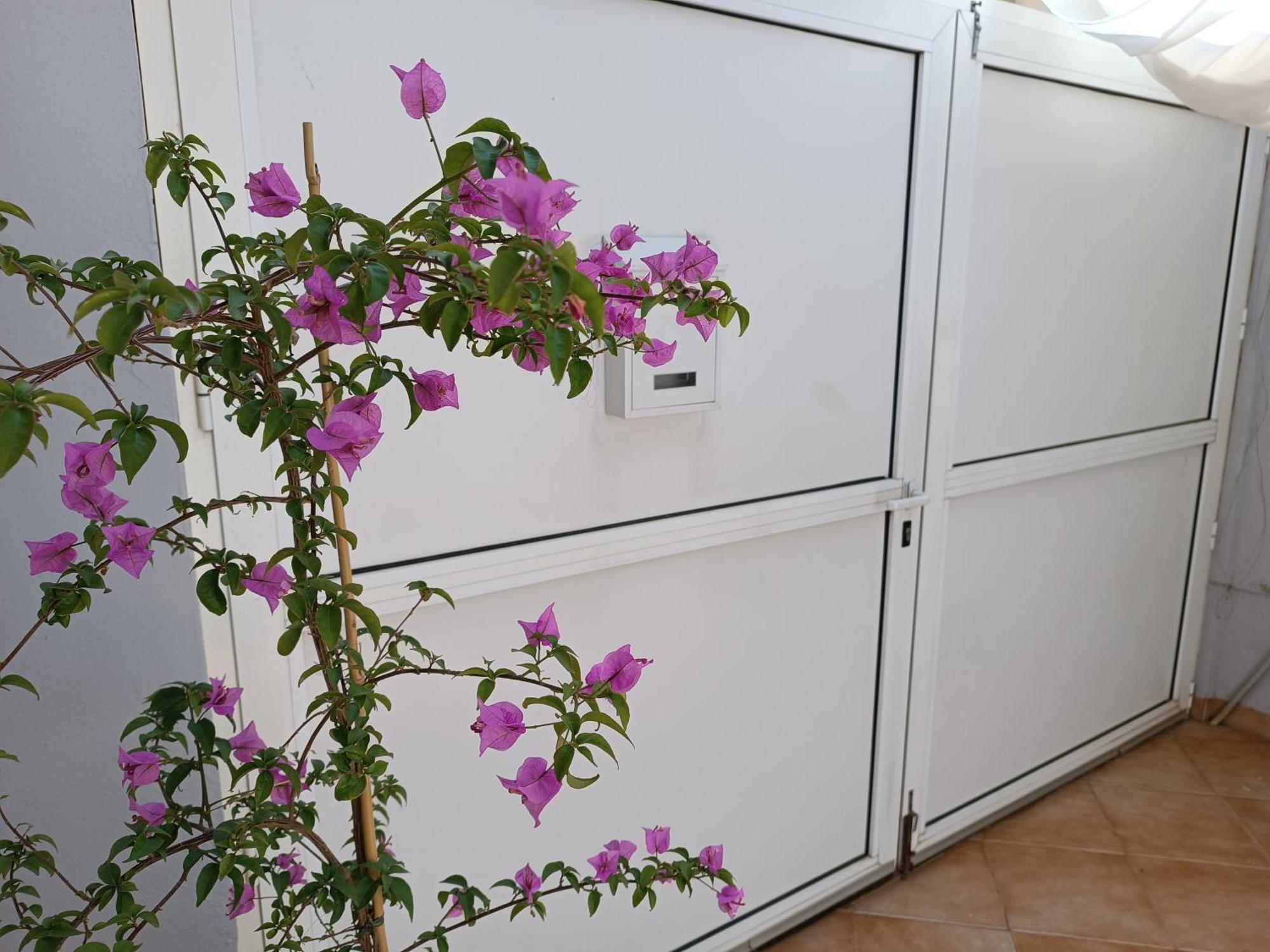 Apartman Dani Zadar Exterior foto